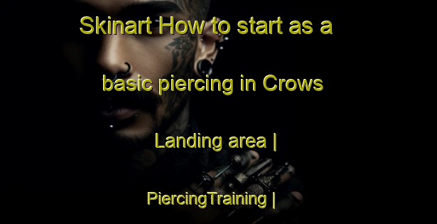 Skinart How to start as a basic piercing in Crows Landing area | PiercingTraining | PiercingClasses | SkinartTraining-United States